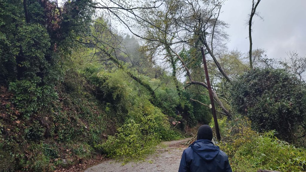 Μικροπροβλήματα από την κακοκαιρία «Erminio» σε Μαγνησία, Πήλιο και Σποράδες