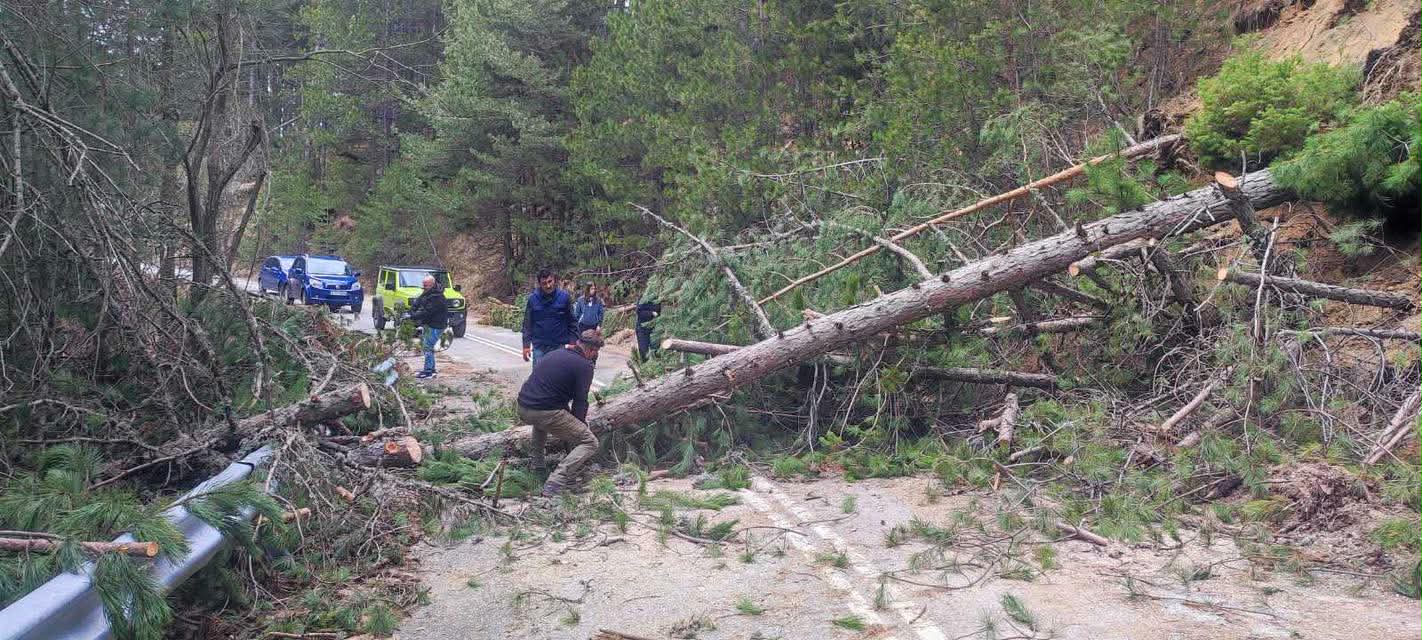 661026788-961416429673577-4811843433803337265-n