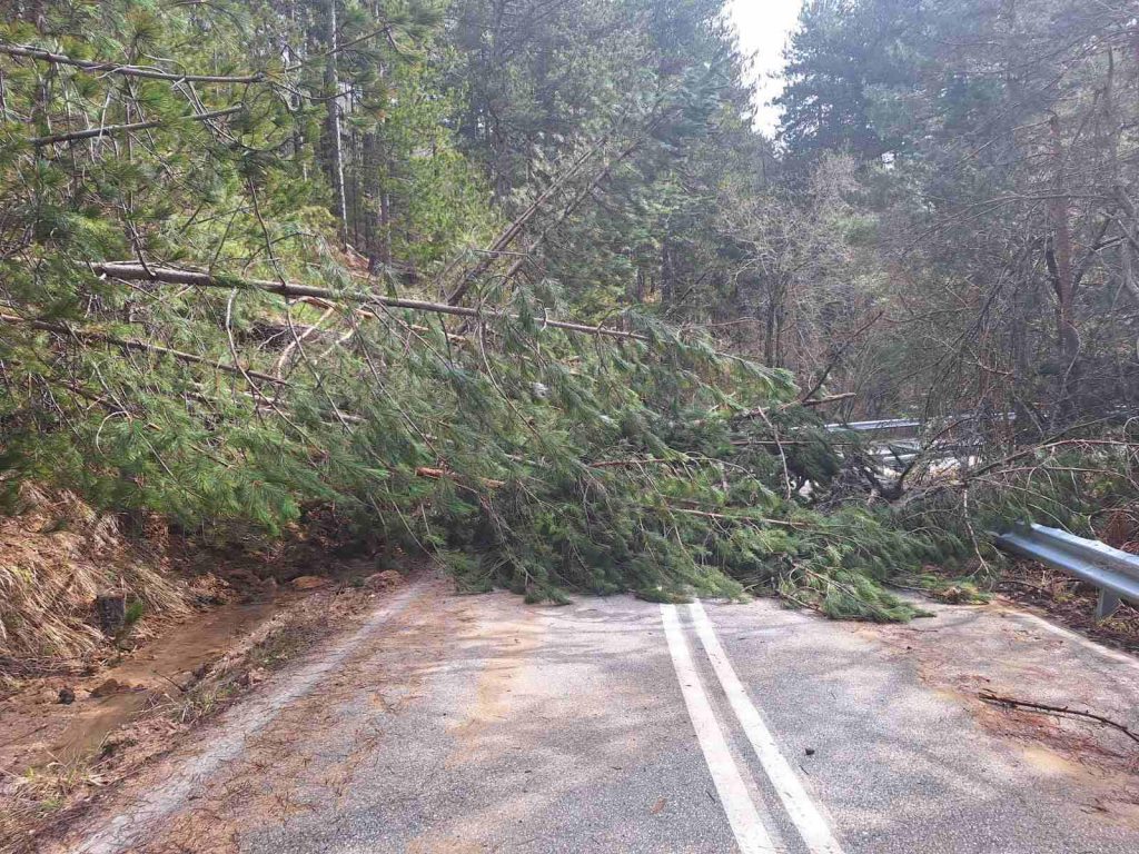 Κοζάνη: Πτώση δέντρων πριν τα «Λιβάδια» στο Καταφύγιο Βελβεντού – Άμεση αποκατάσταση της κυκλοφορίας