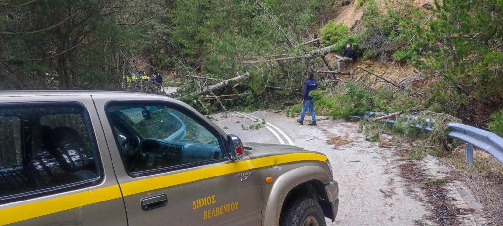 Κοζάνη: Πτώση δέντρων πριν τα «Λιβάδια» στο Καταφύγιο Βελβεντού – Άμεση αποκατάσταση της κυκλοφορίας