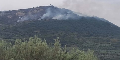 Συναγερμός στην Καστοριά για μπαράζ τηλεφωνικών απατών – Θύμα ακόμα μία ηλικιωμένη, οι πινακίδες πρόδωσαν τον «εισπράκτορα»