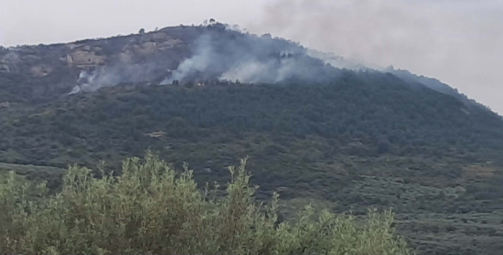 670238624-944305484897596-7997512132472476274-n