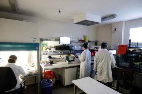 Στο στόχαστρο των Αρχών οργανωμένα κυκλώματα λαθροθηρίας στη Ζάκυνθο – Κατάσχεση όπλων και πυρομαχικών