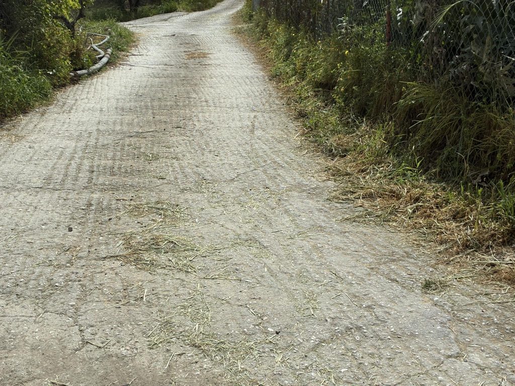 Κρήτη: Φίλοι και συγγενείς αποχαιρετούν τη δολοφονημένη Ελευθερία στις Δάφνες Ηρακλείου