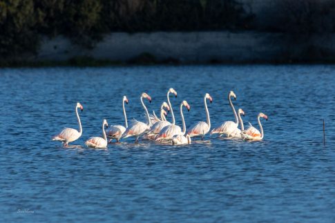 Μεγάλη πυρκαγιά σε επιχείρηση ανταλλακτικών στο Ίλιον