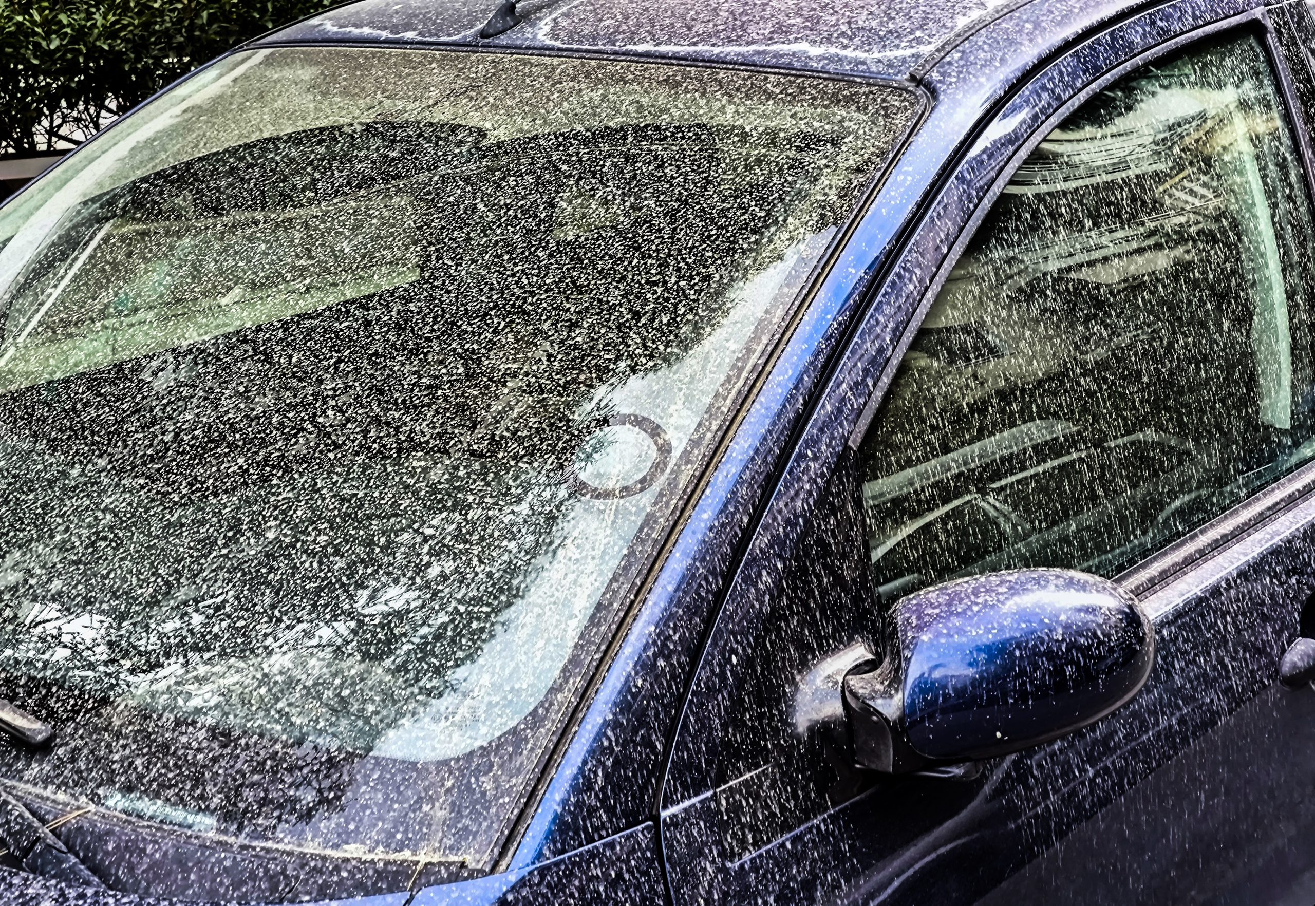 Καιρός: Αφρικανική σκόνη, νεφώσεις και ζέστη έως την Παρασκευή – Ανοιξιάτικο σκηνικό το Σαββατοκύριακο