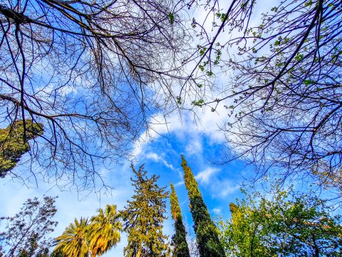 Γάζα: Δεκαεπτά χώρες, ανάμεσά τους <strong>η Σαουδική Αραβία, το Κατάρ και η Αίγυπτος</strong>, καλούν τη Χαμάς να παραδώσει τα όπλα
