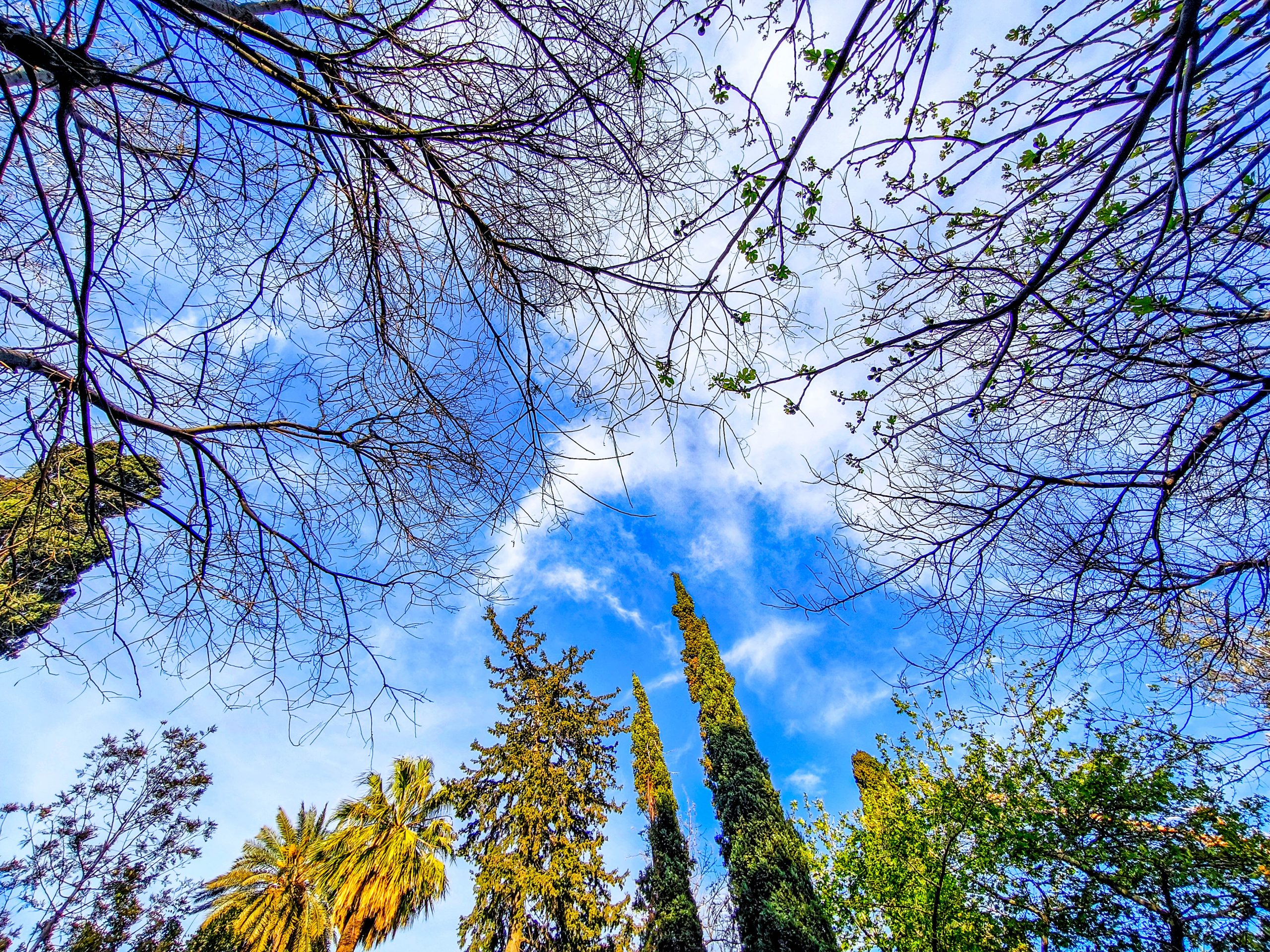 Καιρός: Αστάθεια και σήμερα – Αισθητή βελτίωση από τη Μεγάλη Δευτέρα – Τι αναμένεται για το Πάσχα