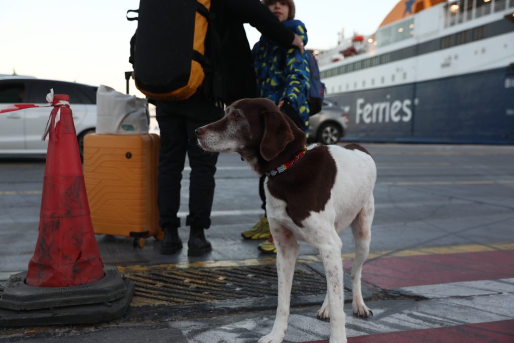 Ξεκινά η έξοδος των εκδρομέων του Πάσχα – «Ταξιδεύουμε με υπευθυνότητα και προσοχή» λέει ο Κικίλιας