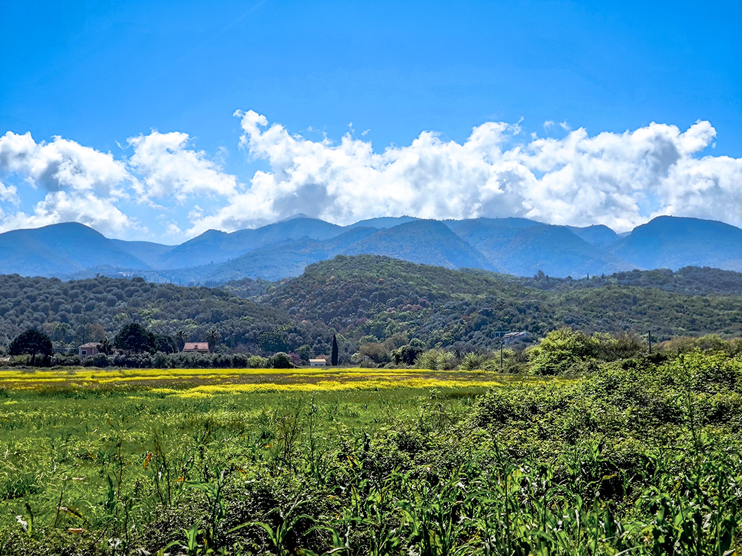 Καιρός: Ζέστη σήμερα με 25άρια, από αύριο φθινοπωρινό διάλειμμα με βροχές και αισθητή πτώση θερμοκρασίας – Πρόγνωση από την Α. Τυράσκη