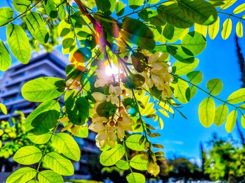 Υπουργείο Ανάπτυξης: Διευκρινίσεις για το τέλος υπέρ της Επιτροπής Ανταγωνισμού <strong>στις ανώνυμες εταιρείες</strong>