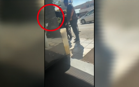 Ζάκυνθος: Τέσσερα κρούσματα λεπτοσπείρωσης ανακοίνωσε ο ΕΟΔΥ – Σε εξέλιξη αυτοψίες στο νησί