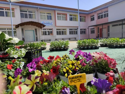 Χανιά: Διπλή άφιξη κρουαζιερόπλοιων στο λιμάνι της Σούδας – Περισσότεροι από 5.000 επισκέπτες