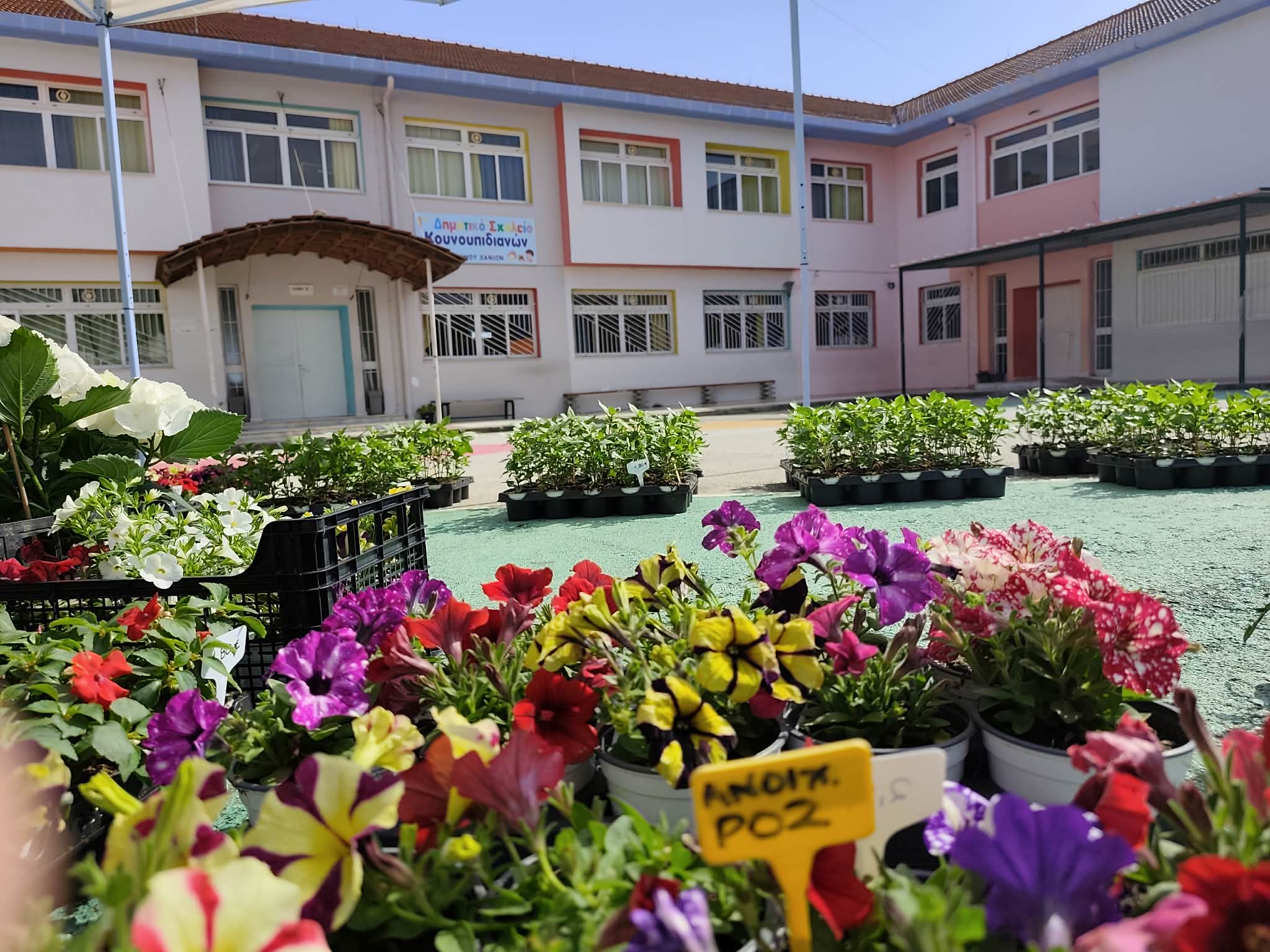 Χανιά: Η 5η Ανθοέκθεση στο 1ο Δημοτικό Σχολείο Κουνουπιδιανών