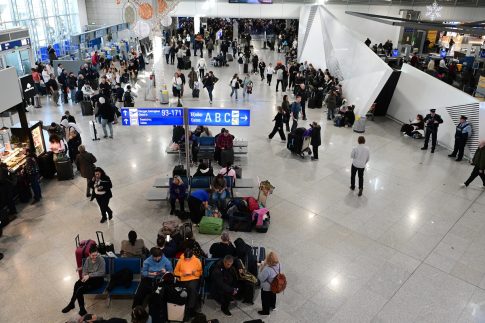 Δηλητηρίαση σκύλων στη Χαλκιδική: Σε πλήρη εξέλιξη οι έρευνες της αστυνομίας για τον εντοπισμό του δράστη