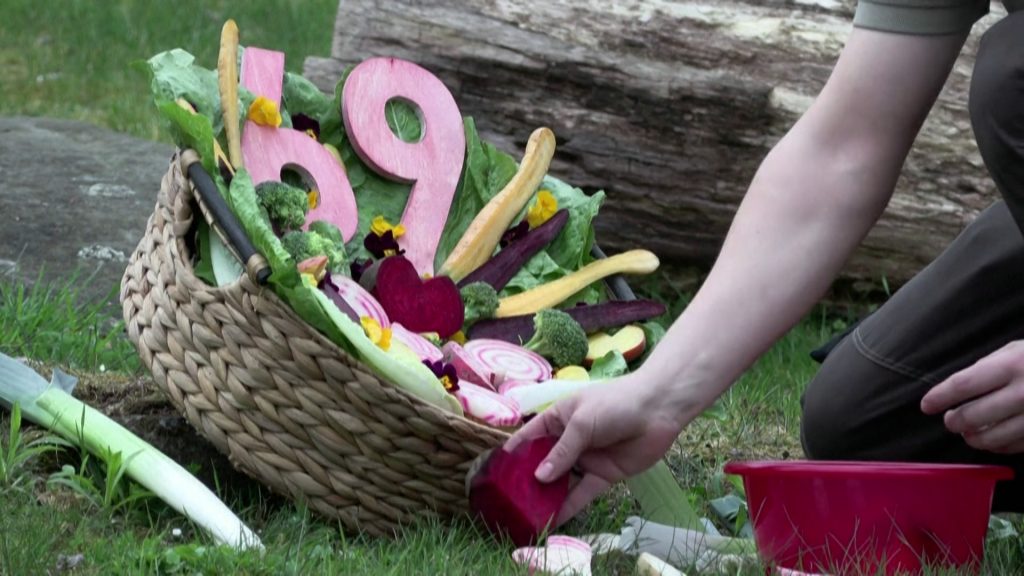 Βερολίνο: Η Φατού έγινε 69 ετών και είναι το γηραιότερο θηλυκό γοριλοειδές στον κόσμο