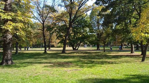 Κέρκυρα: Χορωδίες και μουσικά σχήματα έψαλαν τα κάλαντα του Λαζάρου