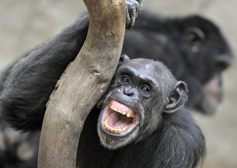 Το ΔΙΠΑΕ και το ΕΚΕΤΑ εμβαθύνουν τη σύμπραξή τους με στόχο την ενίσχυση της καινοτομικής επιχειρηματικότητας