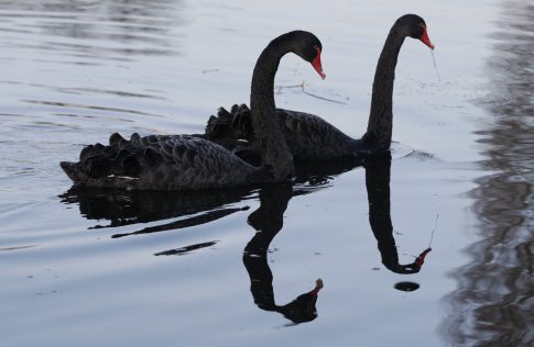 Artemis II: Το πλήρωμα μιλά για το ταξίδι και μια απρόσμενη δοκιμασία στην τουαλέτα του Orion