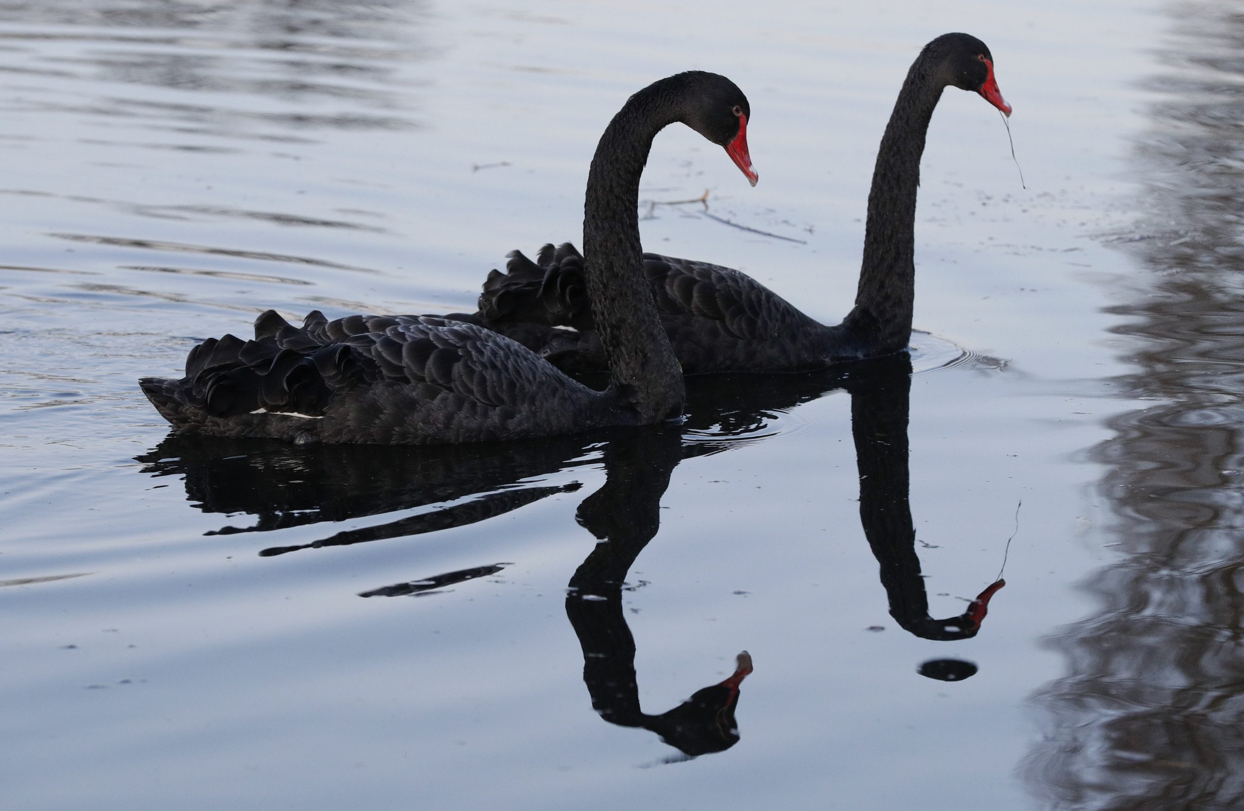 Εσάς σας αγαπούν ή απλώς σας έχουν ανάγκη;