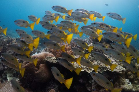 Κορυφώνεται η έξοδος των εκδρομέων του Πάσχα – Η μαζικότερη των τελευταίων ετών