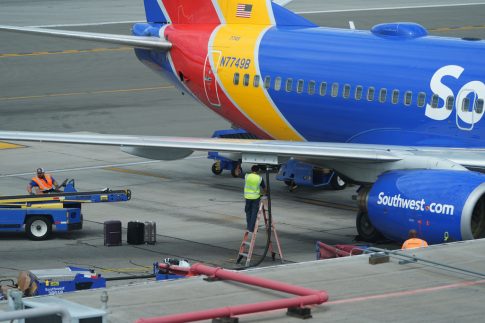 Δηλητηρίαση σκύλων στη Χαλκιδική: Σε πλήρη εξέλιξη οι έρευνες της αστυνομίας για τον εντοπισμό του δράστη