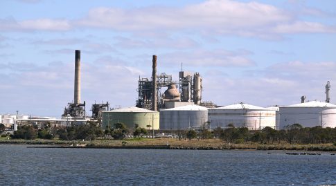 Βόλος: Πυροβολούν αδέσποτα ζώα σε κατοικημένες περιοχές – Καταγγελίες και φόβοι για κλιμάκωση της βίας