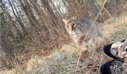 Χίος: Τροχαίο με σοβαρό τραυματισμό ποδηλάτη