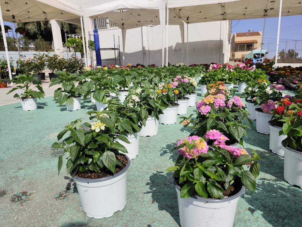 Χανιά: Η 5η Ανθοέκθεση στο 1ο Δημοτικό Σχολείο Κουνουπιδιανών