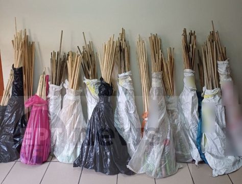 Λέσβος: Αρνητικά και τα χθεσινά δείγματα για τον αφθώδη – Γραμμή επικοινωνίας των κτηνοτρόφων με την Περιφέρεια