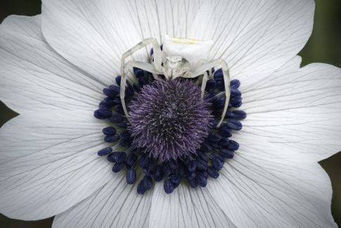 ΠΑΣΟΚ: Η ΝΔ διαδίδει ψέματα για τις υποκλοπές και το Predator