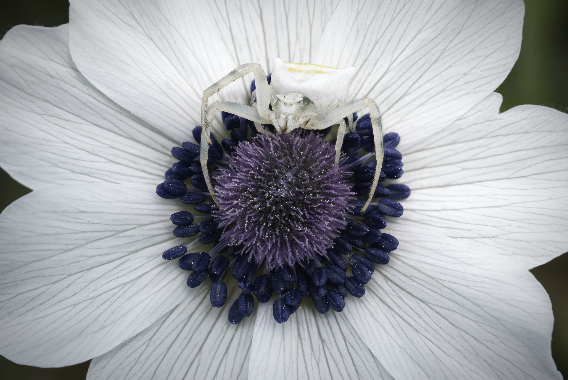 2023-04-26 12-53-44 (17 images)