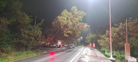 Ισχυρή ελληνική παρουσία στην Ευρώπη: Ο Κων. Κουκάς Πρόεδρος των Τοπικών Αρχών του Συμβουλίου της Ευρώπης