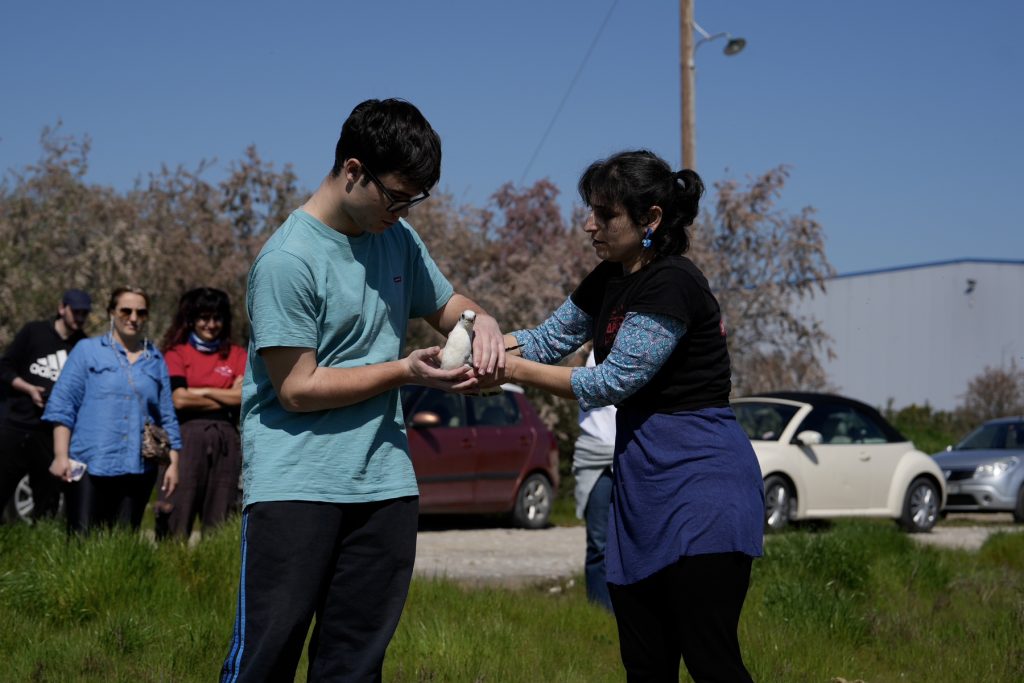 Θεσσαλονίκη: Άγρια πουλιά επανεντάχθηκαν σε Καλοχώρι και Κορώνεια