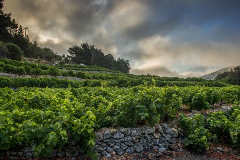 Διακοπές ρεύματος στο Βέλκιο και σε Σάπες τη Δευτέρα 6 Απριλίου