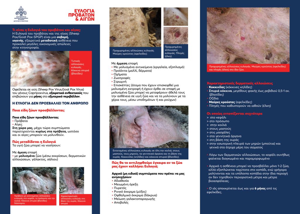 Ζωονόσοι: 29 σημεία απολύμανσης στην Ανατ. Μακεδονία – Θράκη με τη συνέργεια της ΕΛ.ΑΣ.