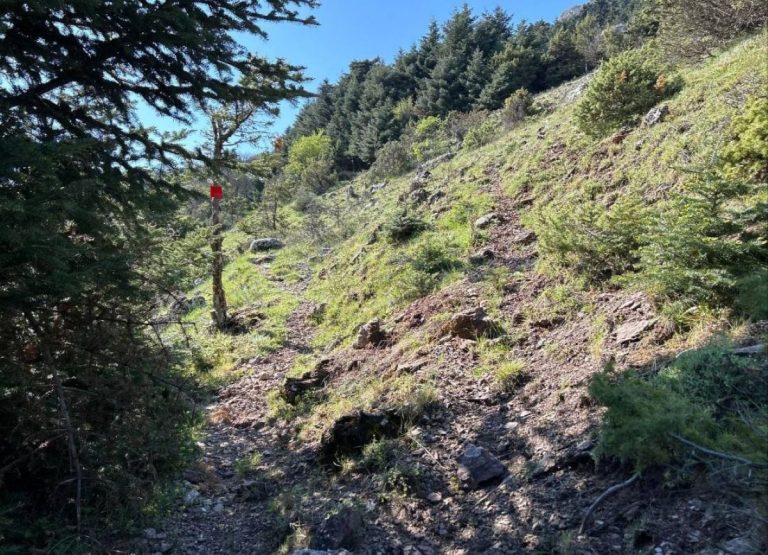 Ανάβαση ΕΟΣ Κορίνθου στο όρος Σκίαθις