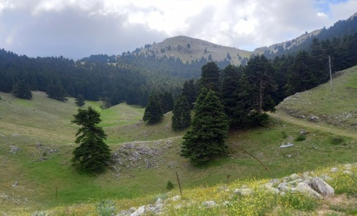 Aνάβαση Ε.Ο.Σ. Τρίπολης στο όρος Σαϊτάς