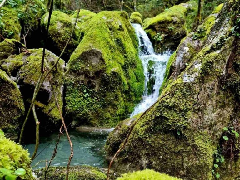 Πεζοπορία ΕΟΣ Τρίπολης στο Αρκουδόρεμα