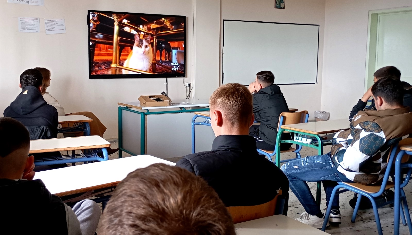 Πανελλήνια σχολική ημέρα φιλοζωίας στο ΕΠΑΛ Τυρνάβου