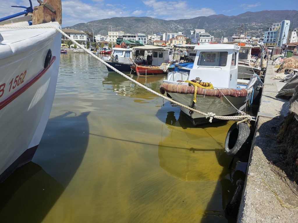 Βόλος: Αποκαρδιωτική εικόνα στο λιμάνι – «Λάθος ερωτήσεις, χωρίς απαντήσεις» προειδοποιεί ο Κορμάς
