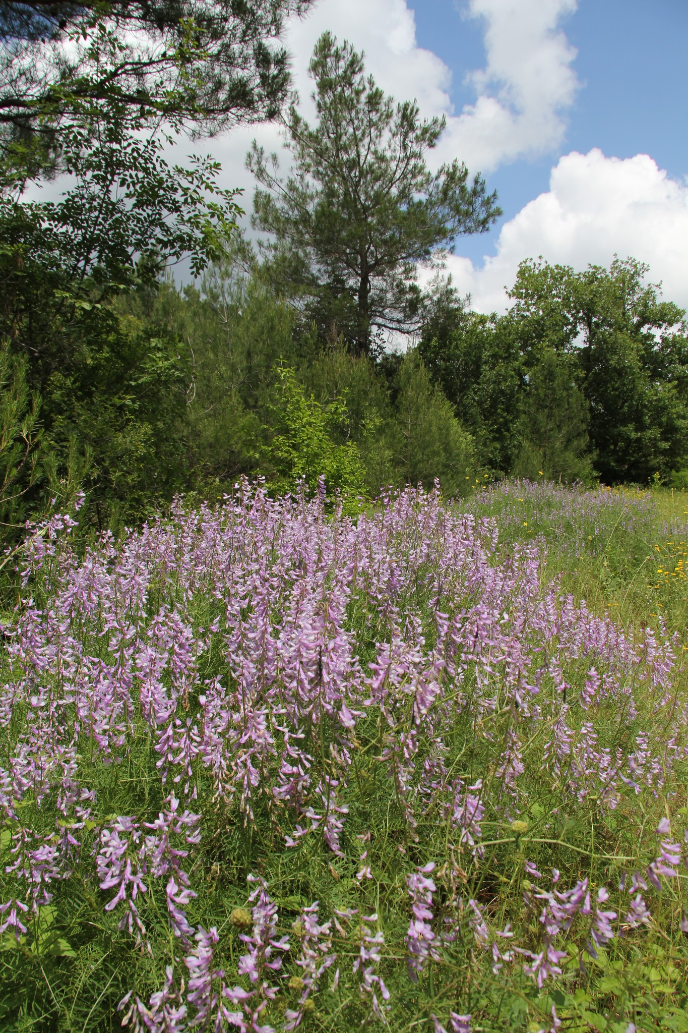 Ανακαλύπτοντας ξανά τον Έβρο τις «Κυριακές στην Φύση» με την Εταιρεία Προστασίας Βιοποικιλότητας Θράκης