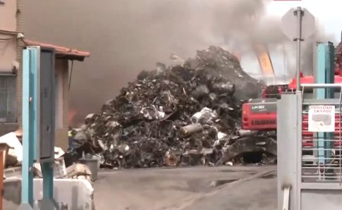 Δηλητηρίαση σκύλων στη Χαλκιδική: Σε πλήρη εξέλιξη οι έρευνες της αστυνομίας για τον εντοπισμό του δράστη