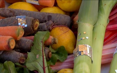 Έκθεση Ζωγραφικής «Χρώματα Μνήμης, Η γενοκτονία των Ελλήνων του Πόντου μέσα από την Τέχνη» στη Θεσσαλονίκη