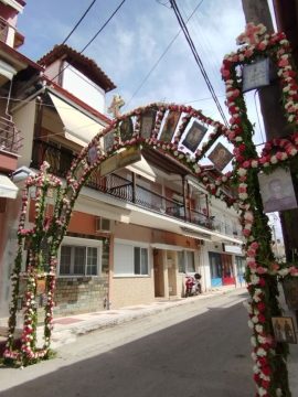 Σέρρες: Κάηκε ολοσχερώς μικρή κτηνοτροφική μονάδα με πρόβατα στα Ίβηρα