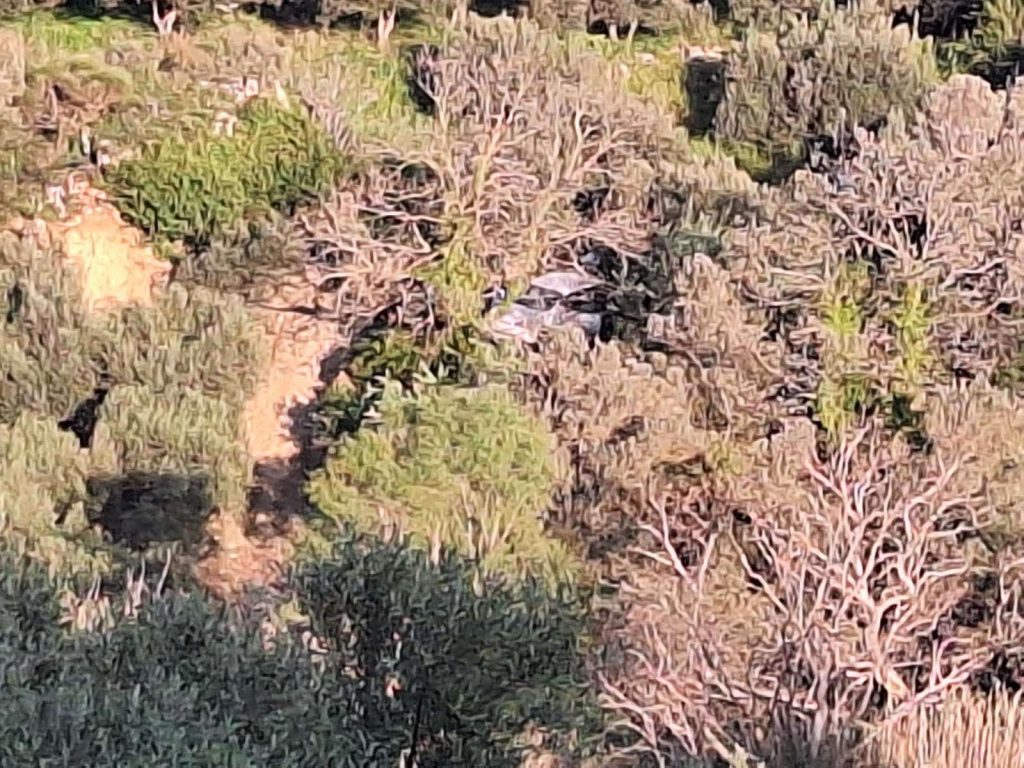 Ηράκλειο: Πώς «σκηνοθετήθηκε» η γυναικοκτονία