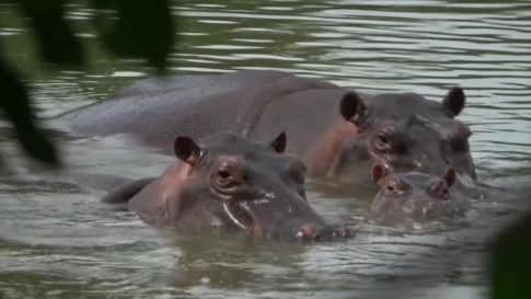 Η μπίρα ως τουριστικό και οικονομικό στοίχημα