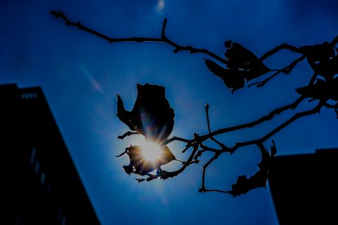 Σέλφι της Μελόνι με κατηγορούμενο μαφιόζο προκαλεί σάλο στην Ιταλία – Για λάσπη στον ανεμιστήρα, κάνει λόγο η Ιταλίδα πρωθυπουργός