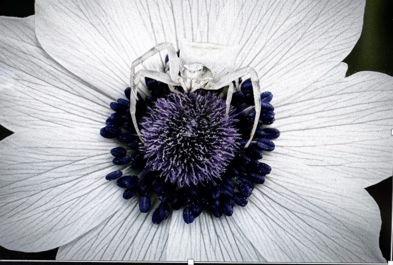 Μικρές Ιεροτελεστίες της Άνοιξης – Ένα Ρέκβιεμ από το μέλλον