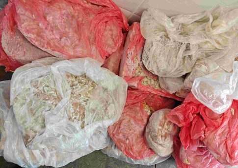 Παιδιά από τη Γερμανία και τα Μέγαρα έχτισαν μαζί μια νέα παιδική χαρά